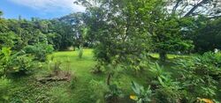 Seletar Garden (D28), Terrace #557374691